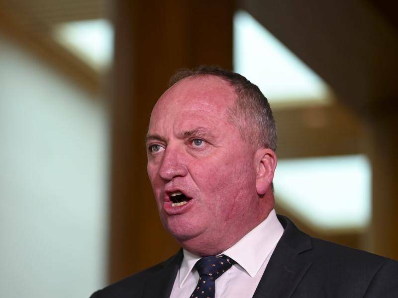 New England MP Barnaby Joyce has denied reports he's fuelling a leadership challenge. Picture file