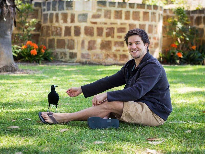 Behavioural ecologist Ben Ashton says magpies may swoop on particular people but ignore others. (PR HANDOUT IMAGE PHOTO)